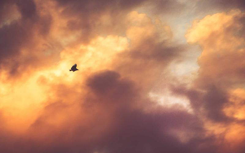 Avrupa Birliği'nden Yeni İklim Yasası Kararı