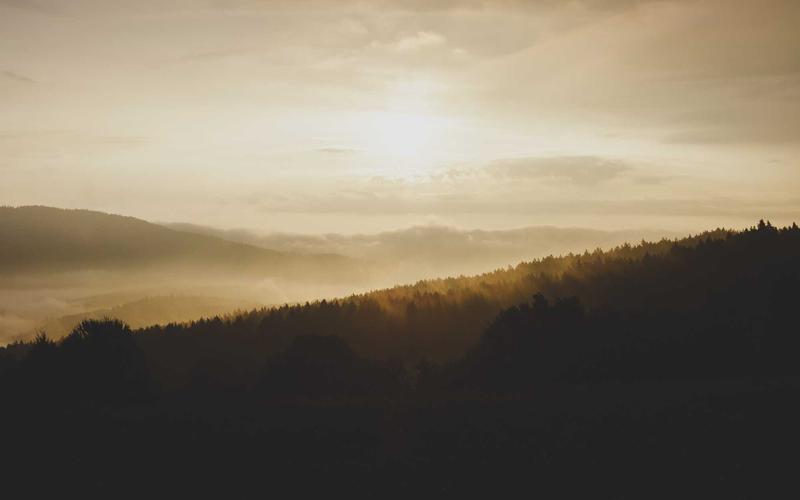 Özel Haber: Kimsenin Bilmediği Detaylar 4931