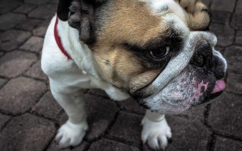 Sağlıklı Beslenmede Ramazan Sonrası Geçiş Süreci